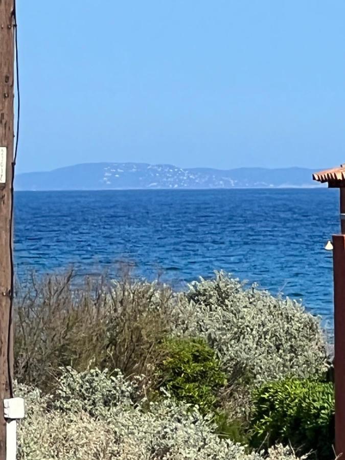 Plein Sud, Bel Appartement 20 Metres De La Plage La Capte Hyeres Luaran gambar